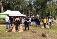 Arujá inaugura segundo ParCão e amplia lazer para pets